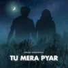 About Tu Mera Pyar Song