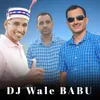 About Dj Wale Babu Song
