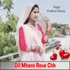 About Dil Mharo Rove Chh Song
