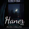 About Haner Song