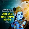 About Jai Jai Radha Raman Hari Bol Song