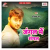 About Jangal Me Mangal Song