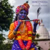About Mere Krishna Song
