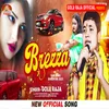 About Brezza Me Song