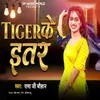 About Tiger Ke Itar Song