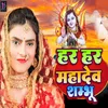 About Har Har Mahadev Shambhu Song