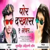 About Por Dakhas Ek Number Song