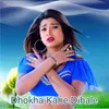 About Dhokha Kahe Dihale Song