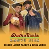 About Dulha Banke Aagye Jija Song