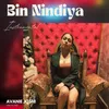 About Bin Nindiya (Instrumental) Song