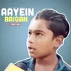 About Aayein Baigan (Trap Mix) Song