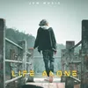 About Life Alone Song