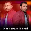 About Natharam Harul Song