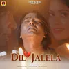 About Dil Jalela Song