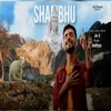 About Shambhu Kahan Hai Song