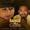 About AAUNGA MAIN CHALKE Song