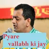 About Pyare vallabh ki jay Song