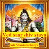 About Ved saar shiv stava (Adi Shankaracharya) Song