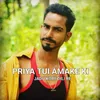 About Priya Tui Amake Ki Jadu Kore Dili Re (Dj Rohit Ghatshila Remix) Song