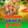 About Hamar Dulahaba Puja Pat Se dure bhaago hai Song