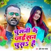 About Chusni Ke Jaisan Chus Hai Song