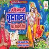 About Koi Jaye Jo Vrindavan Song