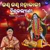 About Jaya Jaya Mahakali Biswakalyani Song