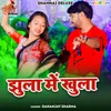 About Jhula Me Khula Song