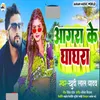 About Aagra Ke Ghaghra Song