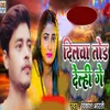 About Dilava Tod Delhi Ge Song