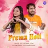 About Prema Holi Song