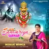 About Mere  Sanwariya  Sarkar Song