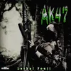 About Ak47 Song