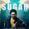 About Sugar Free Song