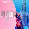 About Oh Bhole Song