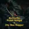 About Butterfly Song