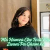 About Ma Hamza Che Tera Kra Zwani Pa Gham ke Song