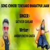 About Chhori Tene Karo Bharatpur Jaam Song