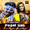 About Toke Dekhi Pagal Hali Song