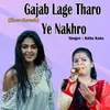About Gajab Lage Tharo Ye Nakhro (Slow+Reverb) Song