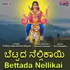 About Bettada Nellikai Song