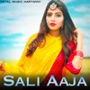 About Sali Aaja Song