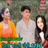 About पिली पडगी जैसे 1730 Song