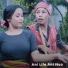 About Ani Life Ani Itsa Song