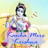 About Kanha Mere Krishna Song
