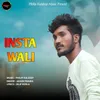About INSTA WALI Song