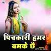 About Pichkari Hamar Bamke Chhai Song