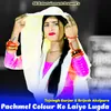 About Pachmel Colour Ko Laiyo Lugda Song