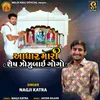 About Aadhar Mari Shesh Zozubai Gogo Song