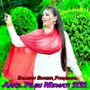 About Aakil Pilsu Mewati 3131 Song